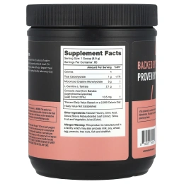 Legion Athletics, Recharge, послетренировочный напиток, фруктовый пунш, 534 г (1,18 фунта)