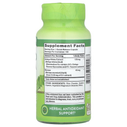 Nature's Truth, Гинкго билоба плюс бакопа, 120 мг, 100 капсул быстрого действия