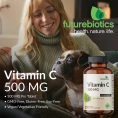Futurebiotics, витамин C, 500 мг, 120 таблеток