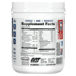 GAT, JetMASS, система креатина быстрого действия для увеличения объема, клубничный лимонад, 708 г (25 унций)