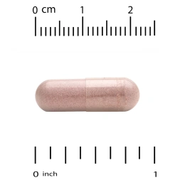 Vitacost, Everyday, экстракт дикой голубики, 120 капсул (450 мг в капсуле)