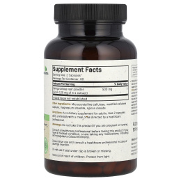 Futurebiotics, гинкго билоба, 500 мг, 120 вегетарианских капсул (250 мг в 1 капсуле)