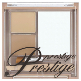 Prestige Cosmetics, Студия придания формы бровям, Светлый/средний, 0,10 унции (2,9 г)