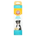 Arm & Hammer, Advanced Care, ферментная зубная паста для собак, ваниль и имбирь, 67,5 г (2,5 унции)
