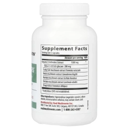 Real Mushrooms, 5 Defenders®, порошок с экстрактом грибов, 90 капсул