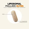 Codeage, Liposomal Mullein Ultra, липосомальный коровяк, 90 растительных капсул
