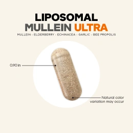 Codeage, Liposomal Mullein Ultra, липосомальный коровяк, 90 растительных капсул