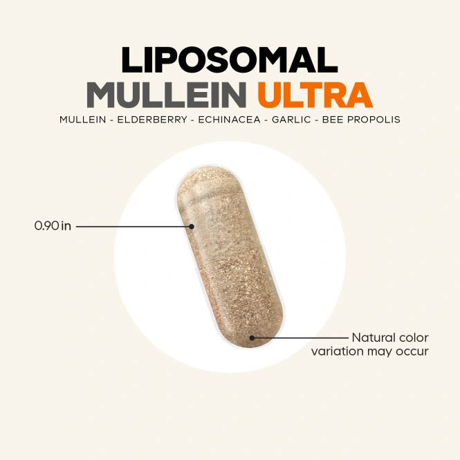Codeage, Liposomal Mullein Ultra, липосомальный коровяк, 90 растительных капсул