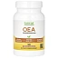 Super Nutrition, OEA олеоилэтаноламид, 125 мг, 120 растительных капсул