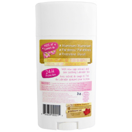 The Green Beaver, Натуральный дезодорант, Шиповник, 1,76 унции (50 г)