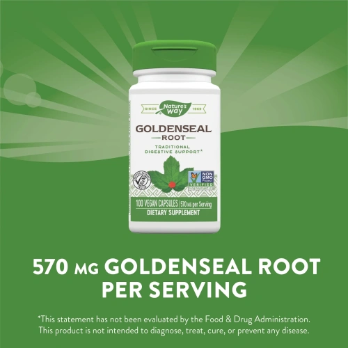 Nature's Way, Goldenseal Root, 570 mg, 100 Vegetarian Capsules