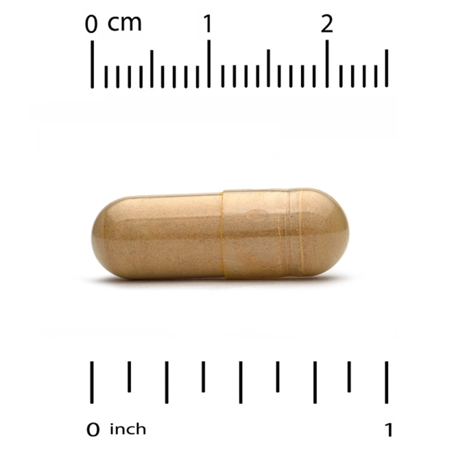 California Gold Nutrition, Ежовик гребенчатый, 90 капсул Plantcap®