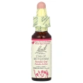 Bach, Original Flower Remedies, Star of Bethlehem, 10 мл (0,35 жидк. унции)