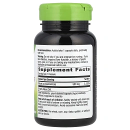 Nature's Way, Никотинамид, 500 мг, 100 капсул