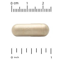 Super Nutrition, органический гриб-баран с имбирём, 60 вегетарианских капсул