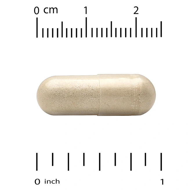 Super Nutrition, органический гриб-баран с имбирём, 60 вегетарианских капсул