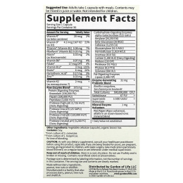 Garden of Life, Сырые ферменты для мужчин, 90 капсул на растительной основе