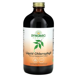 Dynamic Health, Хлорофилловая жидкость (100 мг) Натуральная мята 16 жидких унций