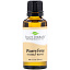 Plant Therapy, 100% Pure Essential Oil, Worry Free, Synergy Blend, 1 fl oz (30 ml)