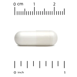 Lake Avenue Nutrition, фосфатидилсерин подсолнечника, 100 мг, 120 растительных капсул