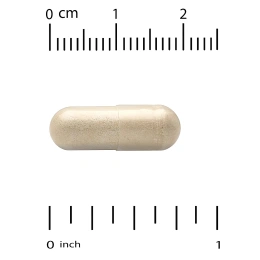 California Gold Nutrition, органический гриб трутовик разноцветный, 60 растительных капсул (0,5 г в 1 капсуле)