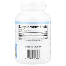 Natural Factors, ацетил L-карнитин, 500 мг, 120 вегетарианских капсул