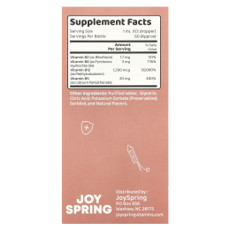 JoySpring, Burst B12, комплекс витаминов группы B, 60 мл (2 жидк. унции)