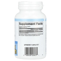 Natural Factors, L-лизин, 500 мг, 90 вегетарианских капсул