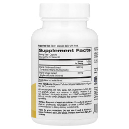 Super Nutrition, органический гриб кордицепс с имбирём, 60 вегетарианских капсул