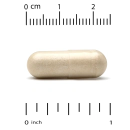 California Gold Nutrition, рейши (Ganoderma lucidum), полный спектр действия, сертифицированный органический продукт, 90 растительных капсул