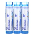 Boiron, Фосфат калия 30C, 3 тюбика, около 80 быстрорастворимых драже в каждом