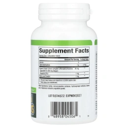 Natural Factors, Жевательный имбирь, 500 мг, 90 жевательных таблеток