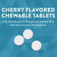 Nature's Way, Umcka, жевательные таблетки от простуды, для детей от 6 лет, вишня, 20 таблеток