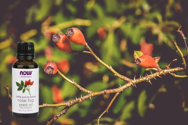 Масло шиповника