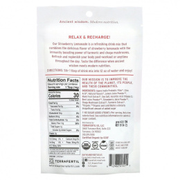 Essential Living Foods, Immune Support, Instant Drink Mix, Strawberry Lemonade, Turmeric & Chaga & Vitamin C, 4 oz (113 g)