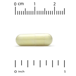 California Gold Nutrition, Fisetin with Novusetin, физетин, 100 мг, 90 растительных капсул