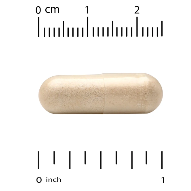 Super Nutrition, Поддержка уровня глюкозы в крови, 60 растительных капсул