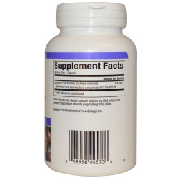 Natural Factors, AcaiRich, Концентрат асаи, 500 мг, 90 капсул