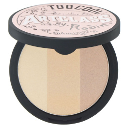 Too Cool for School, Artclass by Rodin, хайлайтер, 0,38 унц. (11 г)