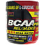 SAN Nutrition, BCAA Pro Reloaded, Арбуз, 16 унц. (456 г)