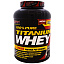 SAN Nutrition, 100% Pure Titanium Whey, печенье со сливками, 81 унция (2310 г)