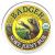 Badger Company, Крем от боли в суставах, экстракт арники, 21 г (0,75 унции)