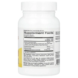 Super Nutrition, Akkermansia 30B PLUS, пастеризованная аккермансия (A. Muciniphila), с берберином и олеилэтаноламином, 60 растительных капсул