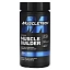 MuscleTech, Platinum Muscle Builder, 60 капсул с быстрым высвобождением