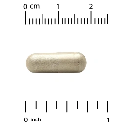 California Gold Nutrition, Прополис 2X, концентрированный экстракт, 500 мг, 90 вегетарианских капсул