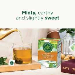 Traditional Medicinals, Organic Herbal Tea, ежедневный пробиотик с тройной мятой, без кофеина, перечная мята, мята колосистая и лимонная мелисса, 16 чайных пакетиков в упаковке, 24 г (0,85 унции)
