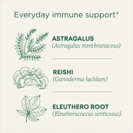 Traditional Medicinals, Organic Stress Ease® Immune, согревающая приправа с грибами рейши, без кофеина, 16 чайных пакетиков в упаковке, 28 г (0,99 унции)