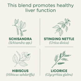 Traditional Medicinals, Organic EveryDay Detox®, ягоды гибискуса и лимонника, без кофеина, 16 чайных пакетиков в упаковке, 24 г (0,85 унции)