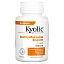 Kyolic, Aged Garlic Extract, куркумин, 50 капсул