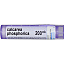 Boiron, Single Remedies, Калькарея фосфорика, 200CK, прибл. 80 гранул